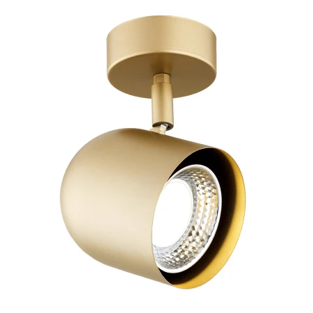 Lampa ścienna/sufitowa reflektor ISOLA 8260 - Argon