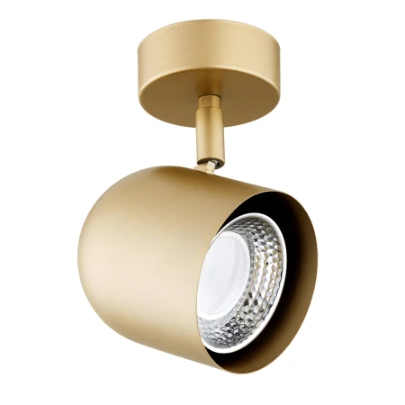 Lampa ścienna/sufitowa reflektor ISOLA 8260 - Argon