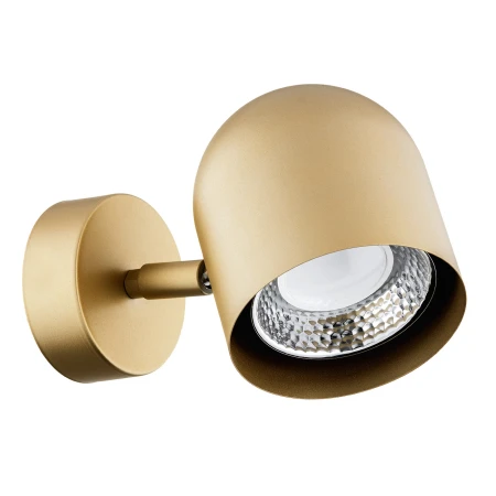 Lampa ścienna/sufitowa reflektor ISOLA 8260 - Argon