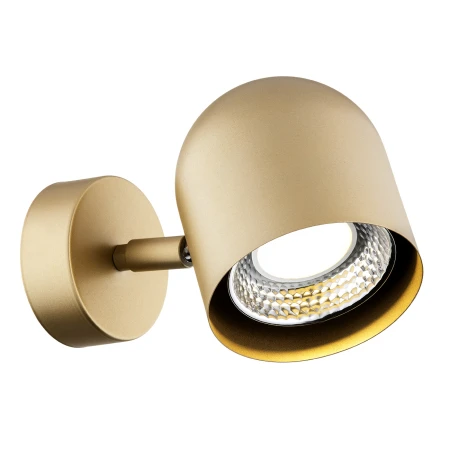 Lampa ścienna/sufitowa reflektor ISOLA 8260 - Argon