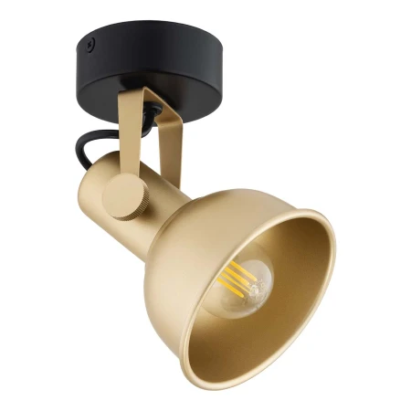 Lampa ścienna/sufitowa złoto i czerń LENORA 8248 - Argon