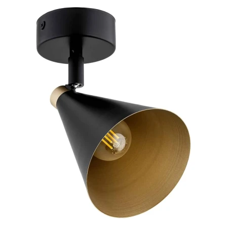 Lampa ścienna/sufitowa LUCINDA 8253 - Argon