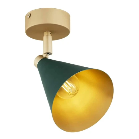 Lampa ścienna/sufitowa LUCINDA 8254 - Argon