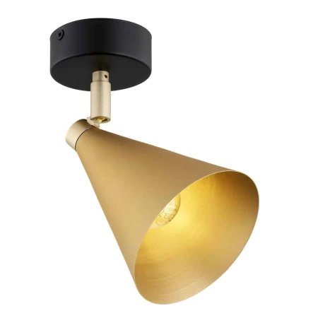 Lampa ścienna/sufitowa LUCINDA 8255 - Argon