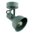 Lampa ścienna/sufitowa zielona LENORA 8299 - Argon