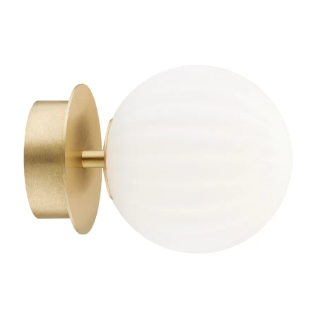 Kinkiet / plafon PALOMA 8504 - Argon