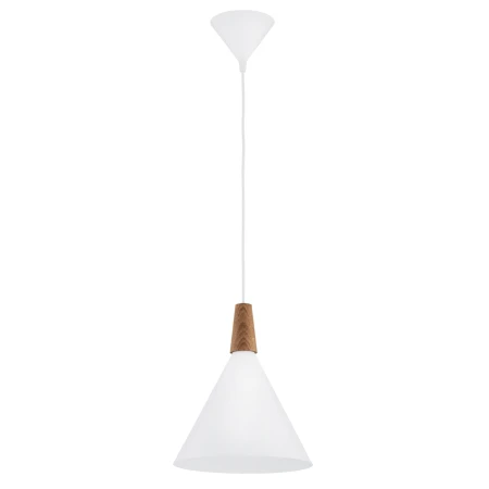 Lampa wisząca KEGEL M 8630 - Argon