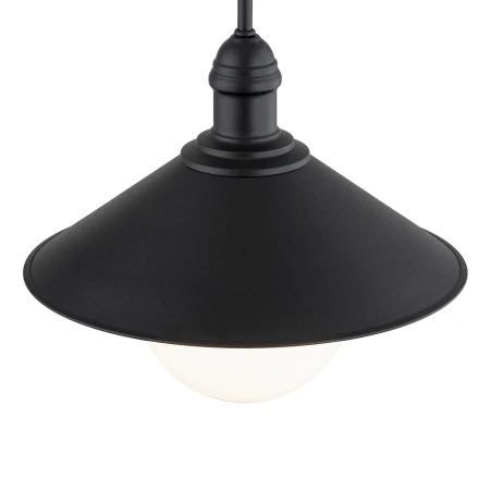 Kinkiet loft ERBA BIS 3286 ogrodowy loftowy - Argon