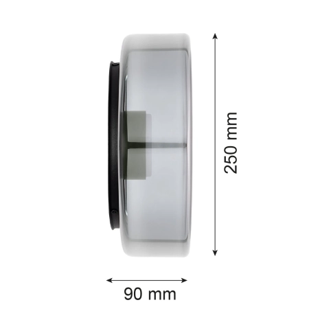 Kinkiet / plafon TAMPA 8833 - Argon