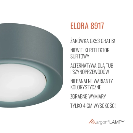 Plafon ELORA ciemna szałwia 8917 - Argon
