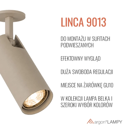 Spot 1 pł. regulowany, Oprawa wpuszczana LINCA 9013 - Argon