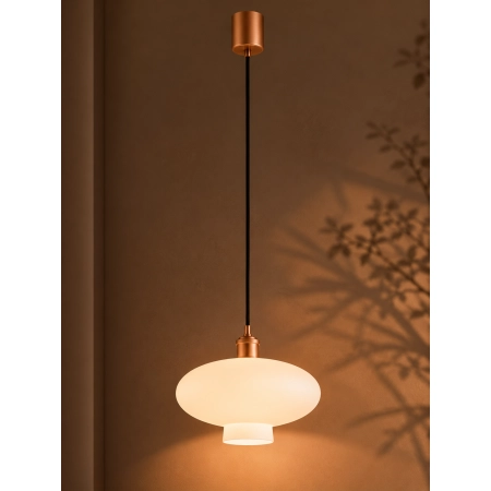 Lampa wisząca 1 pł. TRESCO  8980 - Argon