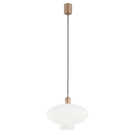 Lampa wisząca 1 pł. TRESCO  8980 - Argon