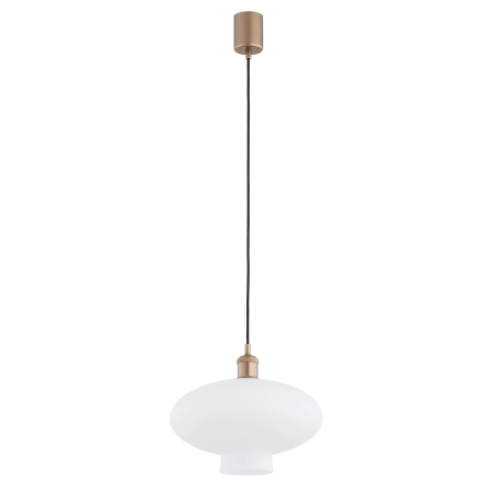 Lampa wisząca 1 pł. TRESCO  8980 - Argon