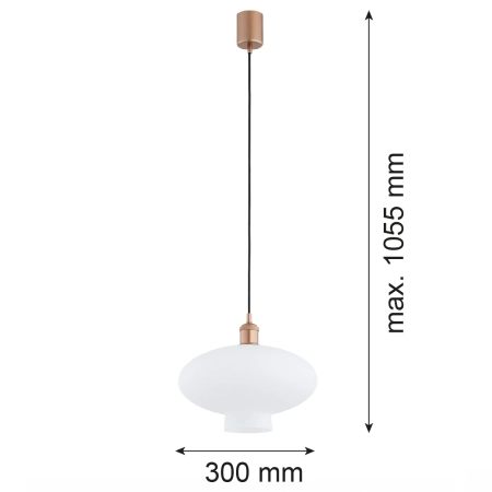 Lampa wisząca 1 pł. TRESCO  8980 - Argon