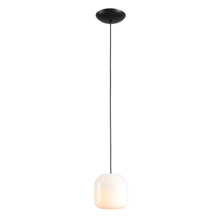 Aldex Lampa wisząca metalowa czarno-różowa 18cm 8500G1_S z serii FLASK ORCHID