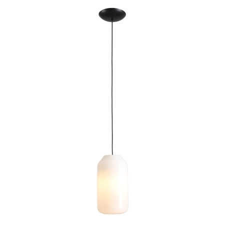 Aldex Lampa wisząca metalowa czarna z elementem orchid 8500G1_M z serii FLASK